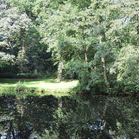 Munte Am Stadtwald