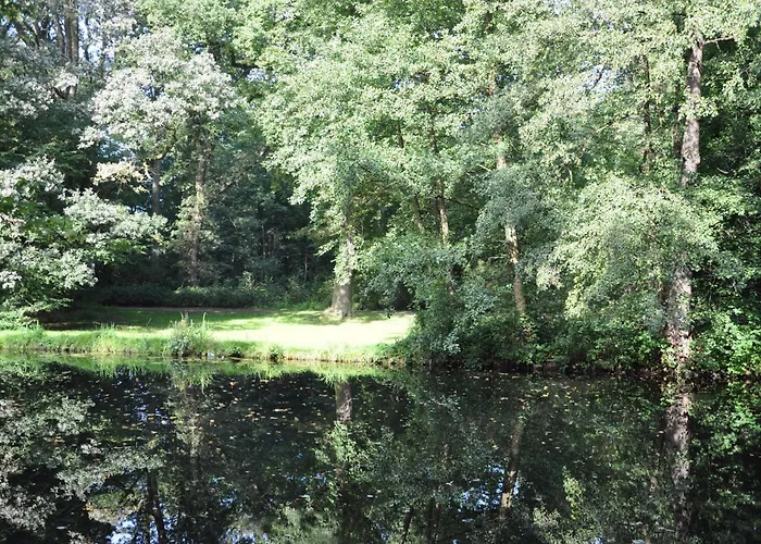 Munte - Wellnesshotel Am Stadtwald